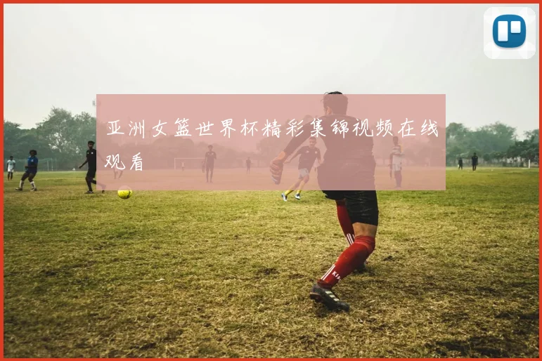 亚洲女篮世界杯精彩集锦视频在线观看