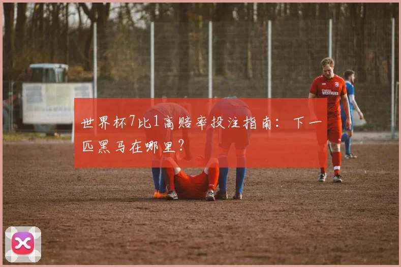 世界杯7比1高赔率投注指南:下一匹黑马在哪里?