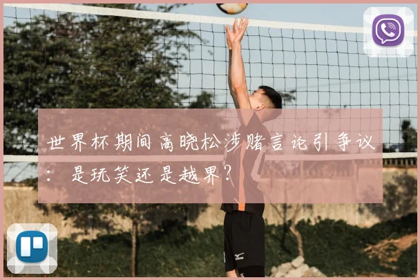 世界杯期间高晓松涉赌言论引争议:是玩笑还是越界?