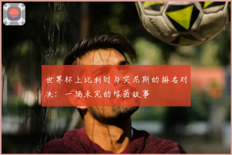 世界杯上比利时与突尼斯的排名对决:一场未完的绿茵故事