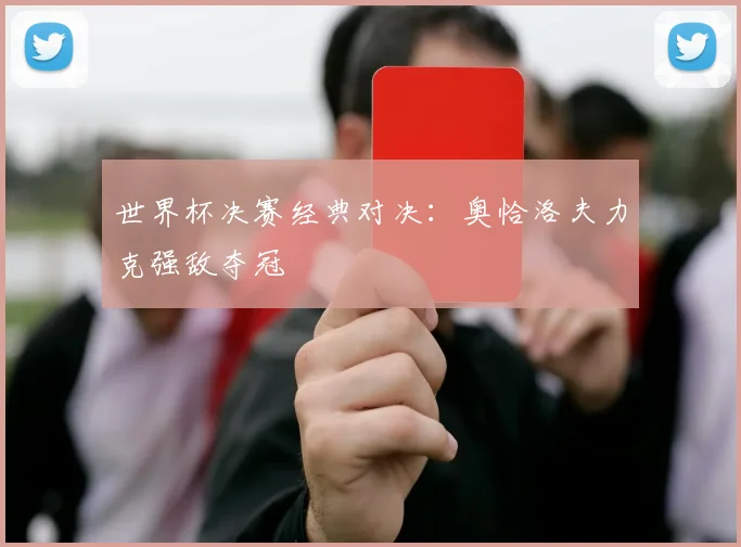 世界杯决赛经典对决：奥恰洛夫力克强敌夺冠