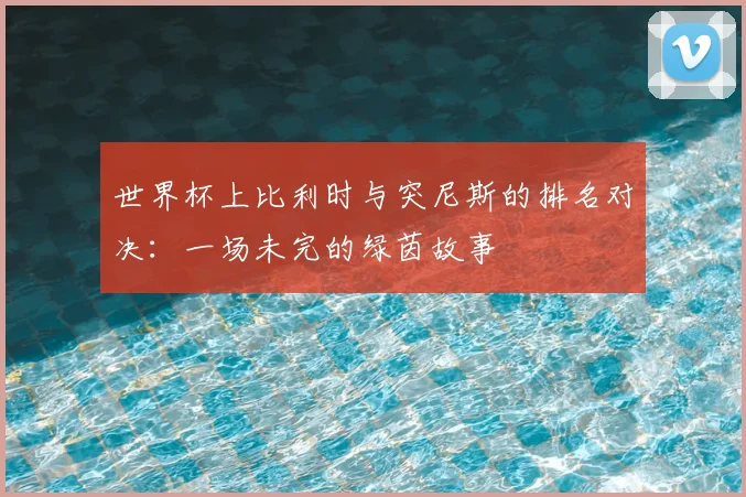 世界杯上比利时与突尼斯的排名对决：一场未完的绿茵故事