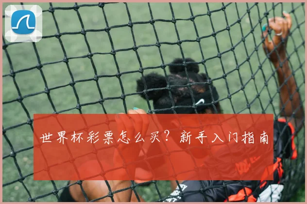世界杯彩票怎么买？新手入门指南