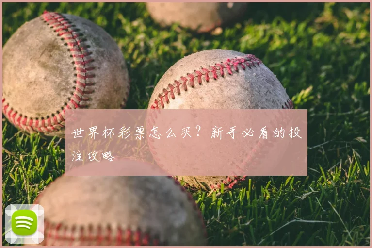 世界杯彩票怎么买？新手必看的投注攻略