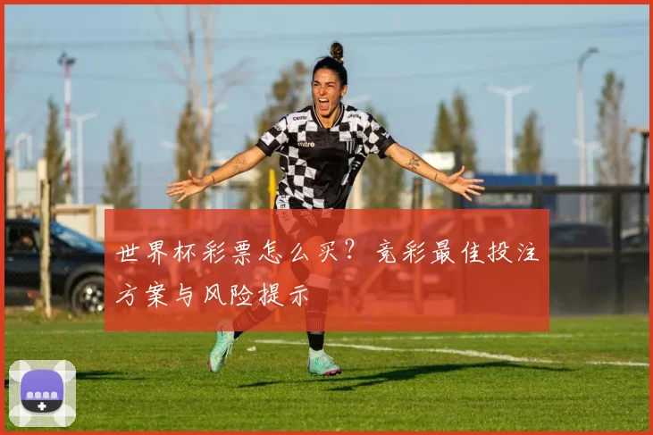 世界杯彩票怎么买？竞彩最佳投注方案与风险提示