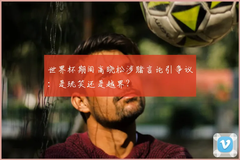 世界杯期间高晓松涉赌言论引争议:是玩笑还是越界?