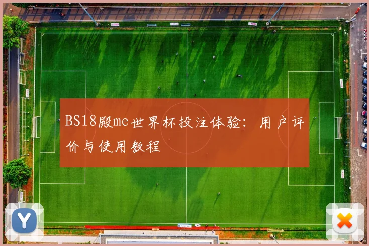 BS18殿me世界杯投注体验:用户评价与使用教程
