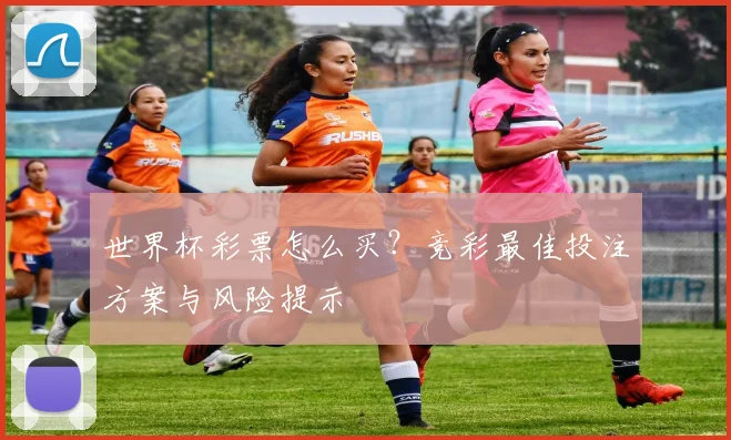 世界杯彩票怎么买？竞彩最佳投注方案与风险提示