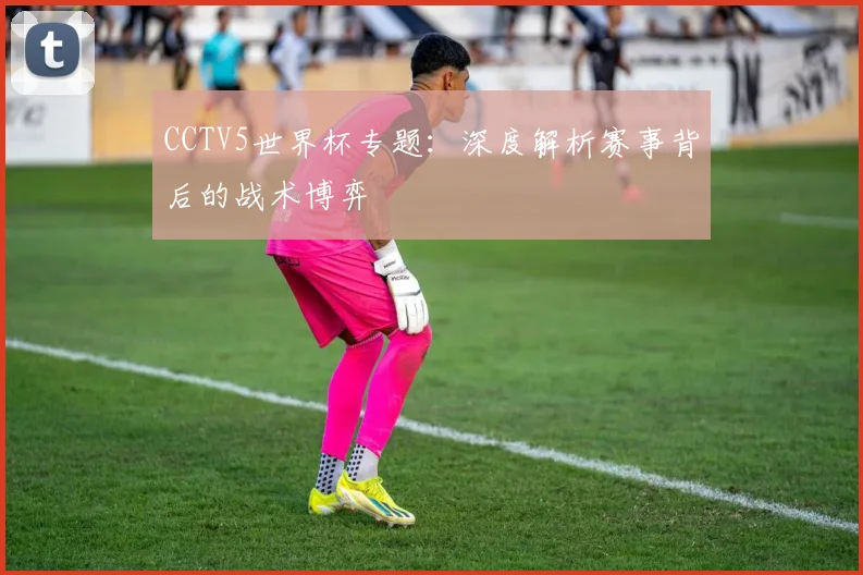 CCTV5世界杯专题：深度解析赛事背后的战术博弈