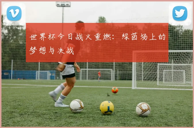 世界杯今日战火重燃:绿茵场上的梦想与决战