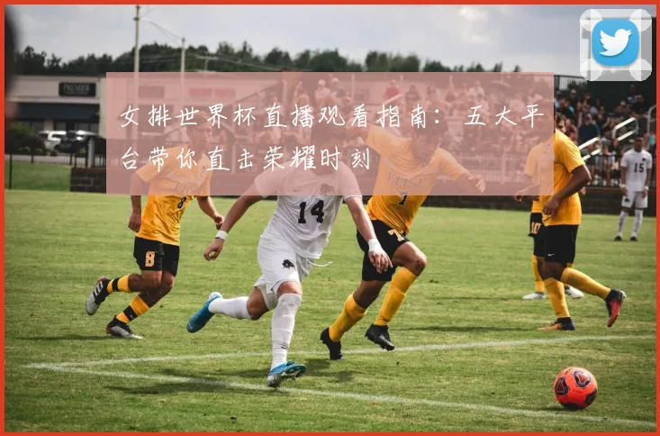 女排世界杯直播观看指南:五大平台带你直击荣耀时刻