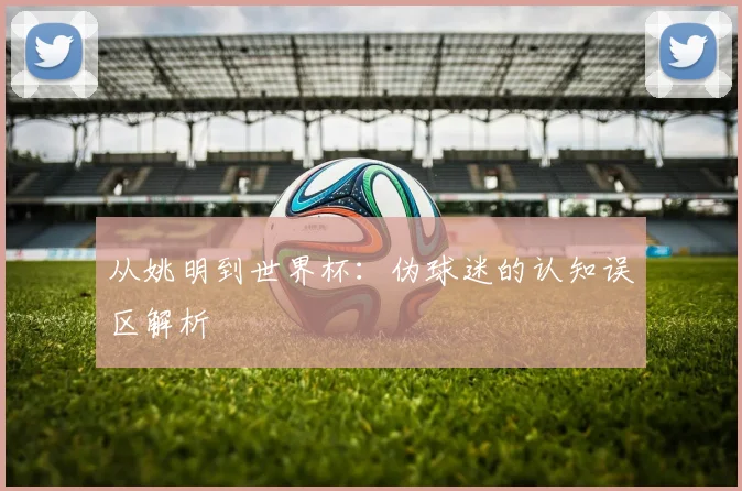 从姚明到世界杯：伪球迷的认知误区解析